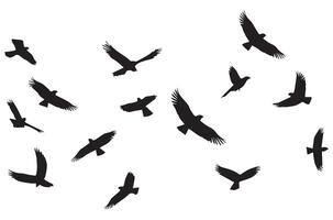 silhouetten vliegend vogelstand illustratie vector