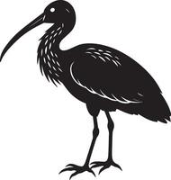 een zwart en wit silhouet van een ibis vogel vector