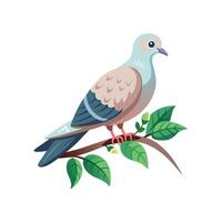 realistisch duivenvogel concept illustratie vector