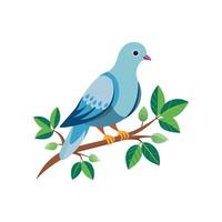 realistisch duivenvogel concept illustratie vector