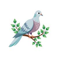 realistisch duivenvogel concept illustratie vector