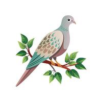 realistisch duivenvogel concept illustratie vector