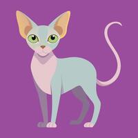 sphynx kat tekenfilm dier illustratie vector