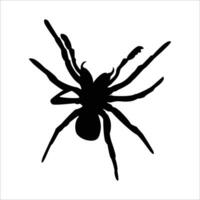 zwart spin silhouet, eng groot spin geïsoleerd Aan wit achtergrond, giftig insect , arachnofobie achtergrond. vector