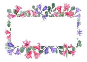 horizontaal kader met waterverf hyacinten, eucalyptus. illustratie voor Valentijn dag, bruiloft uitnodiging, verjaardag en moeder dag kaarten vector