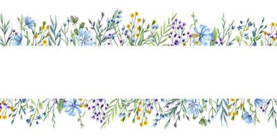 weide bloeiend planten. lang horizontaal kader van wilde bloemen. geel, blauw, Purper bloemen en groen. kopiëren ruimte voor tekst. waterverf illustratie voor hartelijk groeten, uitnodigingen vector
