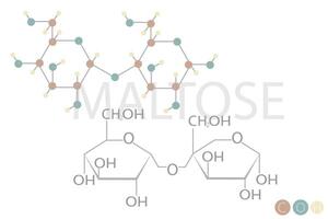 maltose moleculair skelet- chemisch formule vector