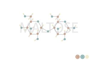 maltose moleculair skelet- chemisch formule vector