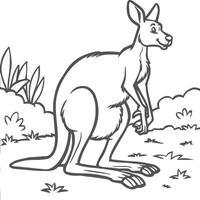 kangoeroe kleur Pagina's. kangoeroe dier schets voor kleur boek vector