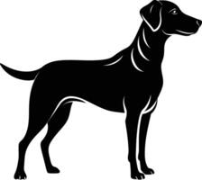 zwart en wit silhouet van een jacht- hond staand vector