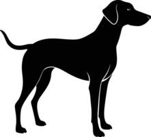 zwart en wit silhouet van een jacht- hond staand vector