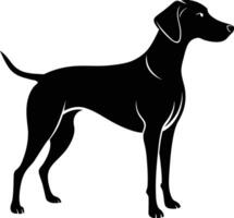 zwart en wit silhouet van een jacht- hond staand vector