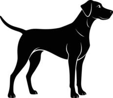 zwart en wit silhouet van een jacht- hond staand vector