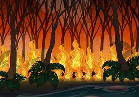 Wildfire Ramp in Big Forest vector