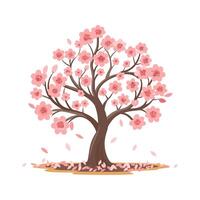 mooi kers bloesem boom met roze bloemen. sakura illustratie. vector