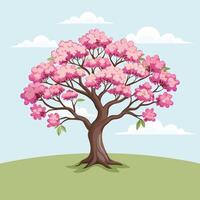 mooi kers bloesem boom met roze bloemen. sakura illustratie. vector