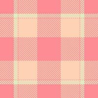 textiel ontwerp van getextureerde plaid. geruit kleding stof patroon swatch voor shirt, jurk, pak, omhulsel papier afdrukken, uitnodiging en geschenk kaart. vector