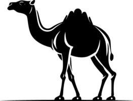 kameel, zwart en wit illustratie vector