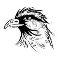adelaar hoofd logo. hand- tekening. vector