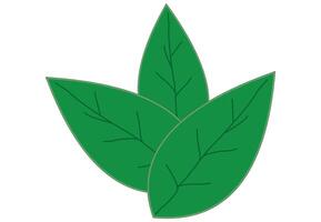 groen blad , geïsoleerd wit achtergrond vector