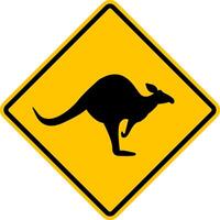 kangoeroe teken. worden voorzichtig Aan de weg voor kangoeroes. geel diamant vormig waarschuwing weg teken. diamant weg teken. ruit weg teken. vector
