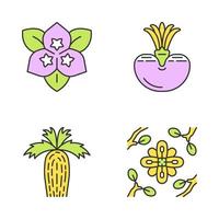woestijn planten kleur pictogrammen instellen. exotische flora. bougainvillea bloem, levende steen, Californië waaierpalm, larrea. droge plaatsen planten. geïsoleerde vectorillustraties vector