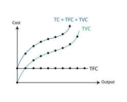 productie kosten in de kort rennen voor totaal kosten bochten, totaal variabel kosten, totaal gemaakt kosten vector