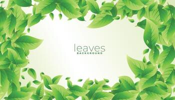 biologisch en vers groen bladeren achtergrond ontwerp vector