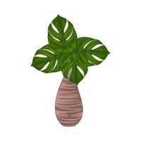 illustratie van palm boom vector