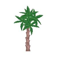 illustratie van palm boom vector