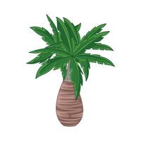 illustratie van palm boom vector