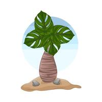 illustratie van palm boom vector