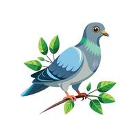 realistisch duivenvogel concept illustratie vector