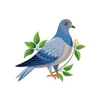 realistisch duivenvogel concept illustratie vector