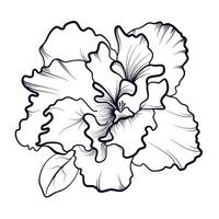 zwart en wit hand getekend azalea bloem illustratie vector