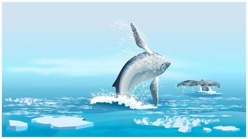 walvissen in de noordelijk oceaan vector