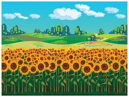 toneel- landschap met zonnebloemen vector