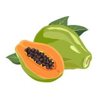 sappig en gezond geel oranje besnoeiing papaja met groen bladeren. geïsoleerd illustratie Aan wit achtergrond. zomer fruit voor vlak ontwerp van kaart, banier, folder, uitverkoop, poster, pictogrammen vector