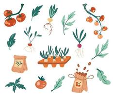 set van zaailingen. zaden, meststoffen, zaailingen, tomaten, wortelgewassen. planten kweken in containers. tuinieren, lente zaailingen, groenten kweken. hand tekenen vectorillustratie. vector