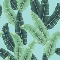 naadloos patroon met tropisch palm en banaan bladeren vector