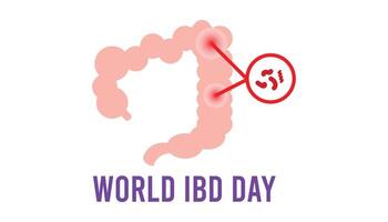 wereld ibd dag opgemerkt elke jaar in kunnen. sjabloon voor achtergrond, banier, kaart, poster met tekst inscriptie. vector