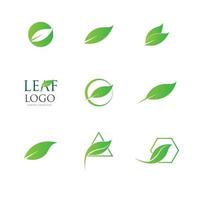 logo's van groen blad ecologie natuurelement vector pictogram