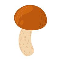 suillus paddestoel. eetbaar schimmel. hand- getrokken modieus vlak stijl geïsoleerd Aan wit achtergrond. herfst Woud oogst, gezond biologisch voedsel, vegetarisch voedsel. vector