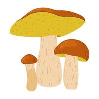 suillus champignons. eetbaar schimmel. hand- getrokken modieus vlak stijl geïsoleerd Aan wit achtergrond. herfst Woud oogst, gezond biologisch voedsel, vegetarisch voedsel. vector