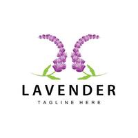 lavendel logo gemakkelijk ontwerp kunstmatig fabriek Purper kleur en aromatherapie lavendel bloem tuin sjabloon vector