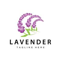 lavendel logo gemakkelijk ontwerp kunstmatig fabriek Purper kleur en aromatherapie lavendel bloem tuin sjabloon vector