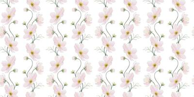 afdrukken van roze en wit cosmea bloemen. kosmos bipinnatus. hand- getrokken waterverf naadloos patroon van Mexicaans aster. zomer bloemen achtergrond voor bruiloft ontwerp, textiel, omhulsel papier, scrapbooking vector