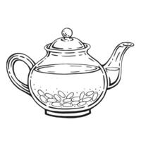 theepot van thee met gezond thee, berberis. hand- getrokken illustratie in schets stijl. vector