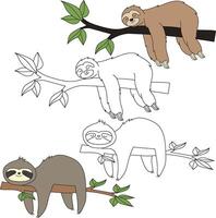 luiaard clip art. wild dieren clip art verzameling voor geliefden van oerwouden en dieren in het wild. deze reeks zullen worden een perfect toevoeging naar uw safari en dierentuin-thema projecten. vector