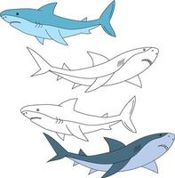 haai clip art. aquatisch dier clip art voor geliefden van onderwater- zee dieren, marinier leven, en zee leven vector